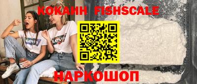 шишки Гагарин