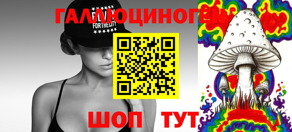 Галлюциногенные грибы GOLDEN TEACHER  Вход с VPN  Черкесск  Галлюциногенные грибы прущие грибы 
